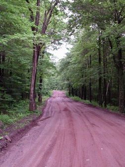 Chipmunk Road